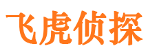 陆川婚外情调查取证